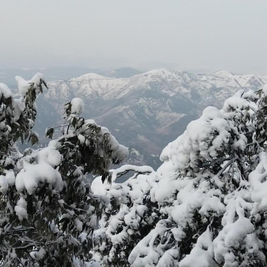 Dhanlaxmi Apartments Shimla Exterior foto